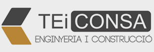 Teiconsa Web