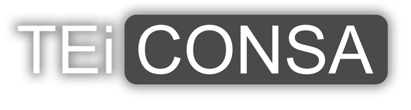 Teiconsa