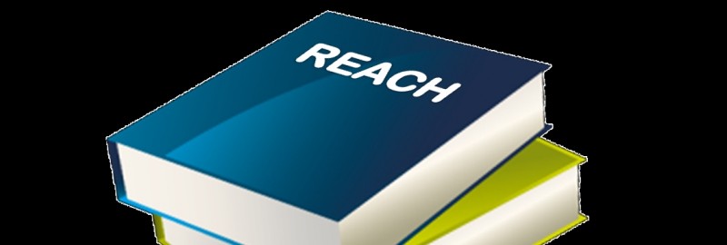REACH Regulation